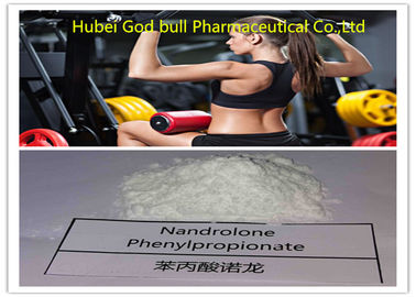 Chine Forme physique de entassement en vrac de stéroïde de cycle de poudre de Phenylpropionate 62-90-8 de Nandrolone fournisseur
